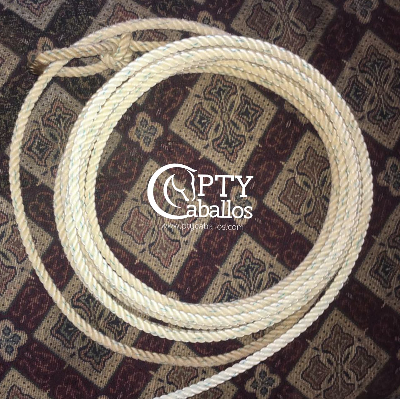 SOGA DE LAZO S PTY Caballos