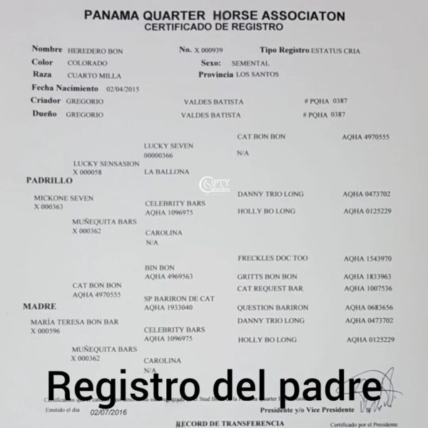 HEREDERA - Imagen 4