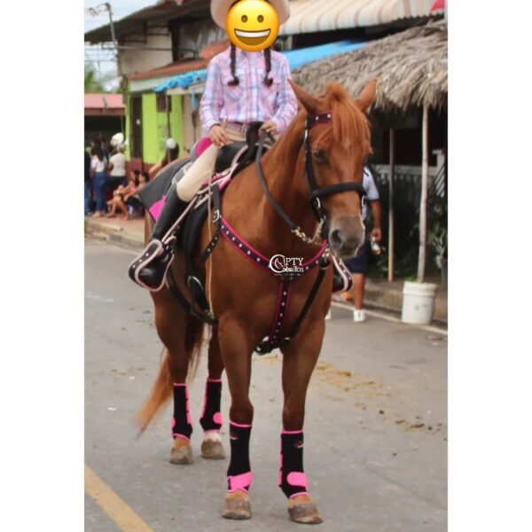 LA PATRONA - Imagen 3
