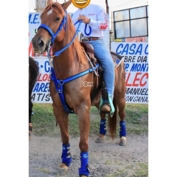 LA PATRONA - Imagen 4