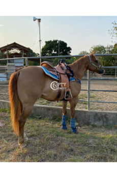 BUGATTI “Mr. Neno Blondy Dude”