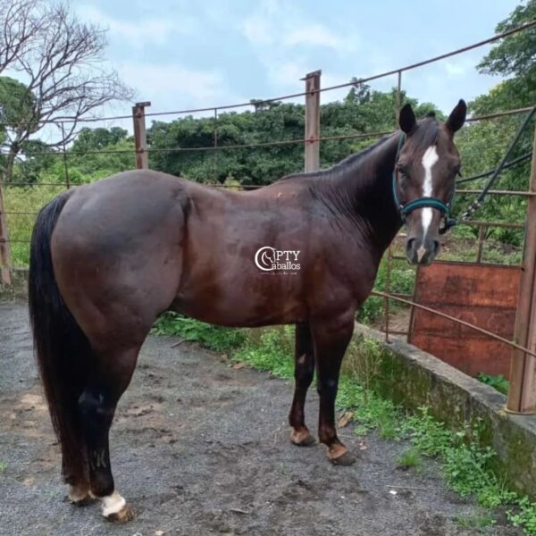 BBY REY - Imagen 2