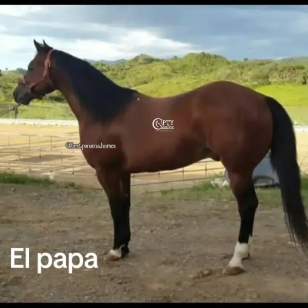SIN NOMBRE - Imagen 2