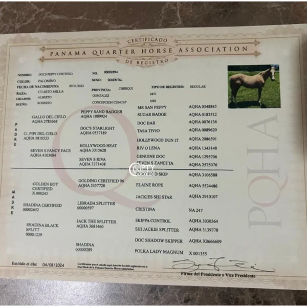 DOCS PEPPY CERTIFIED - Imagen 2