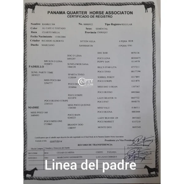 BOYKA SUNS VAR - Imagen 4