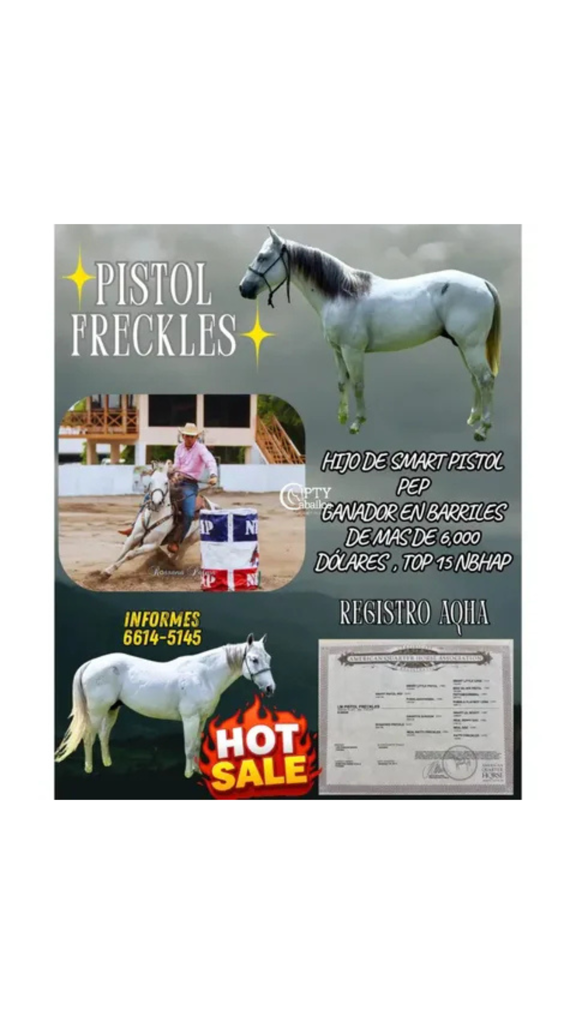 PISTOL FRECKES