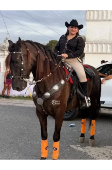 BORAN CA